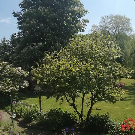 Ferienwohnung Ilmenaublick Mit Zugang Zum Fluss Bienenbuettel Buitenkant foto